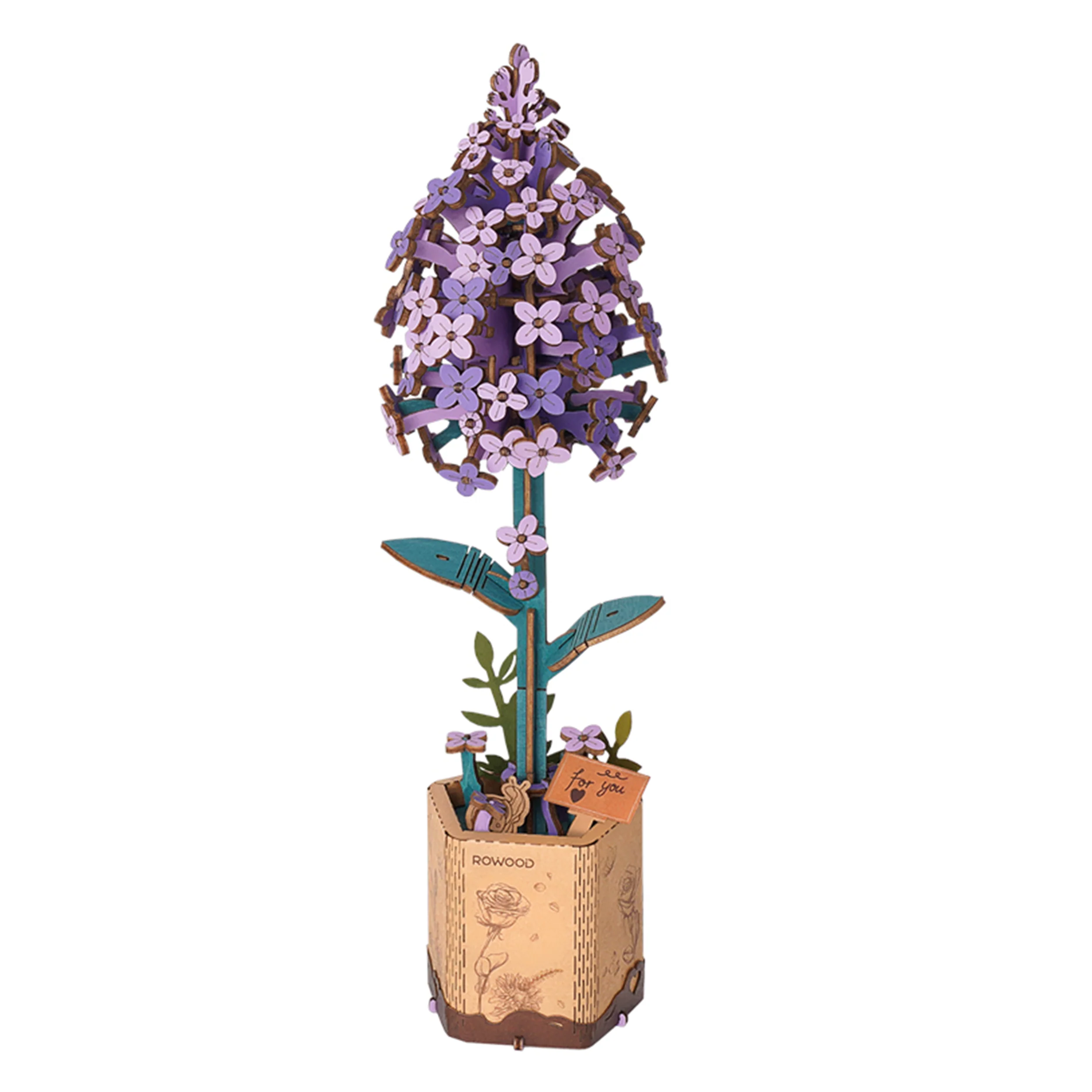 Miniatuur 1
