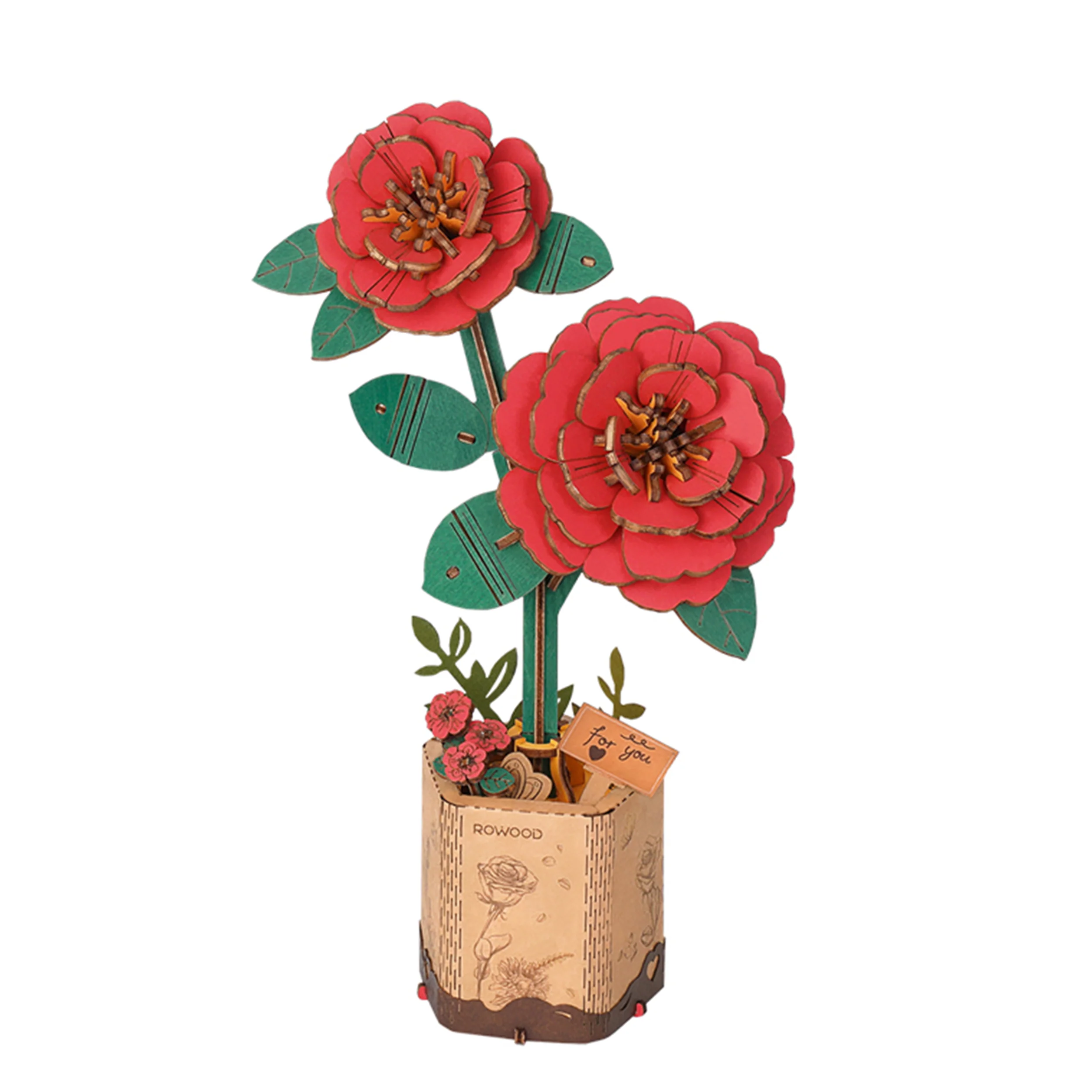 Miniatuur 1