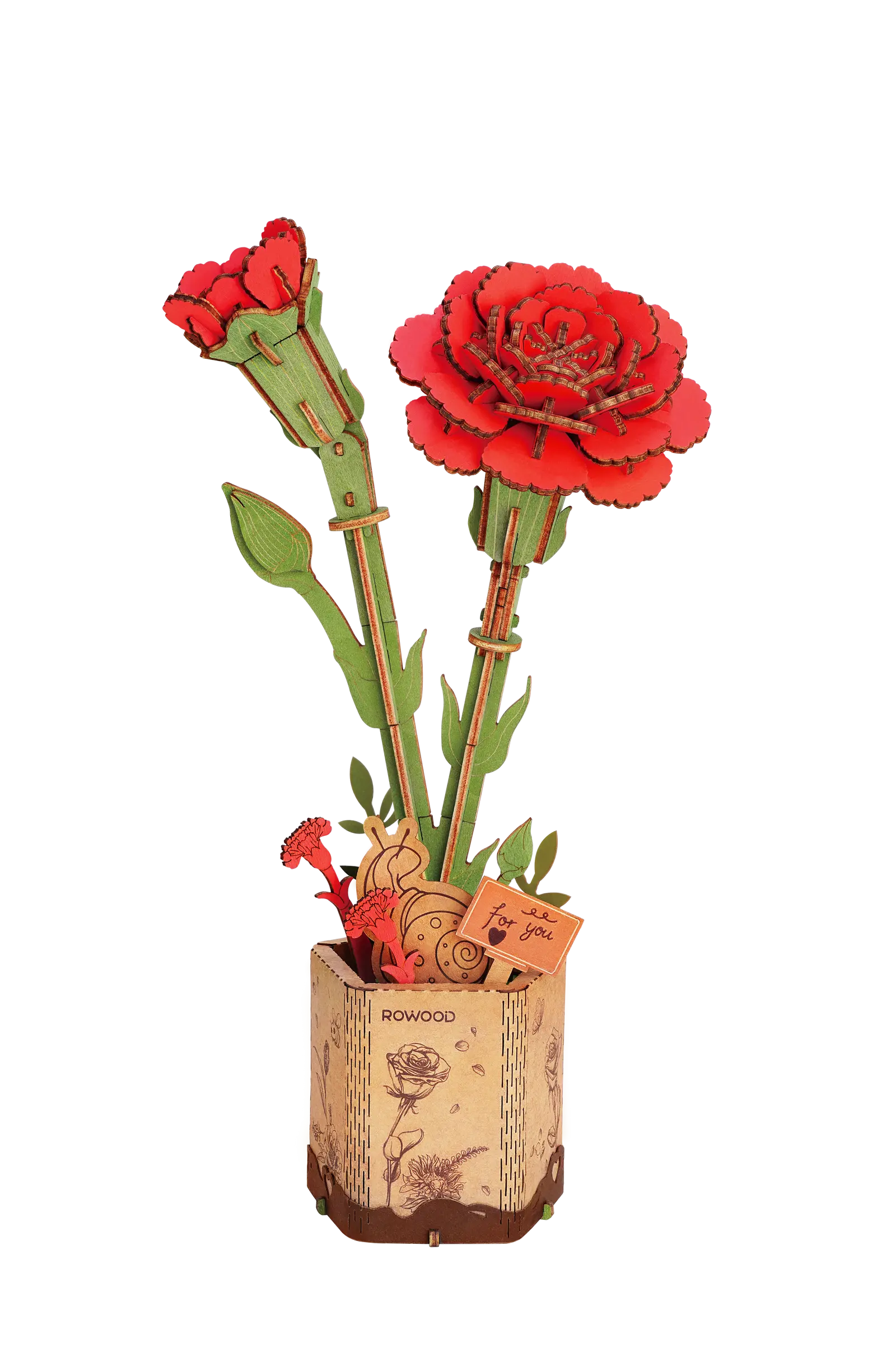 Miniatuur 1