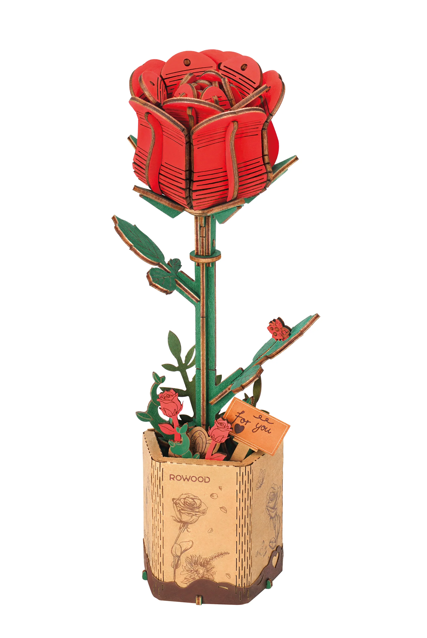Miniatuur 1